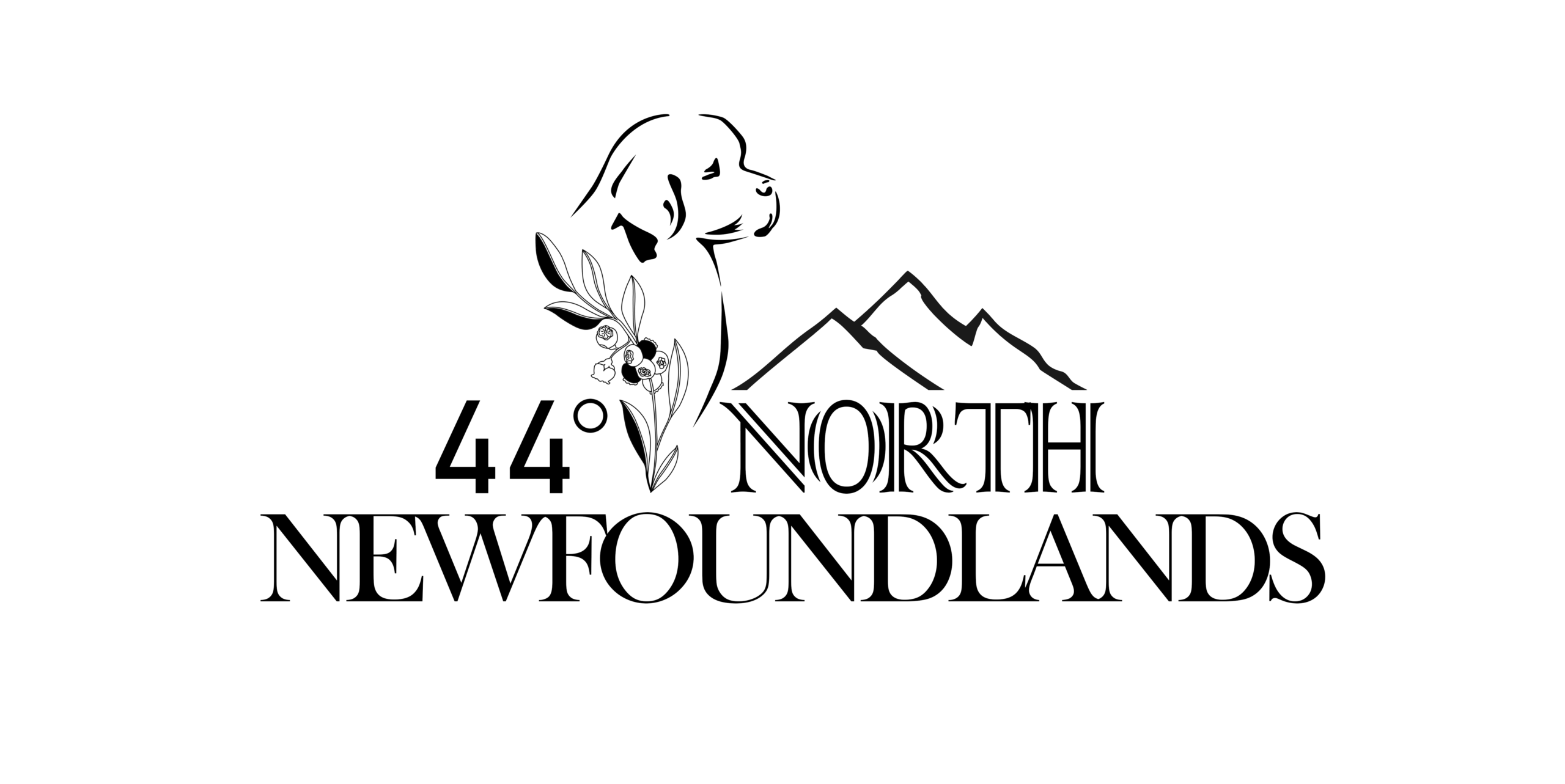 44 North Newf logo