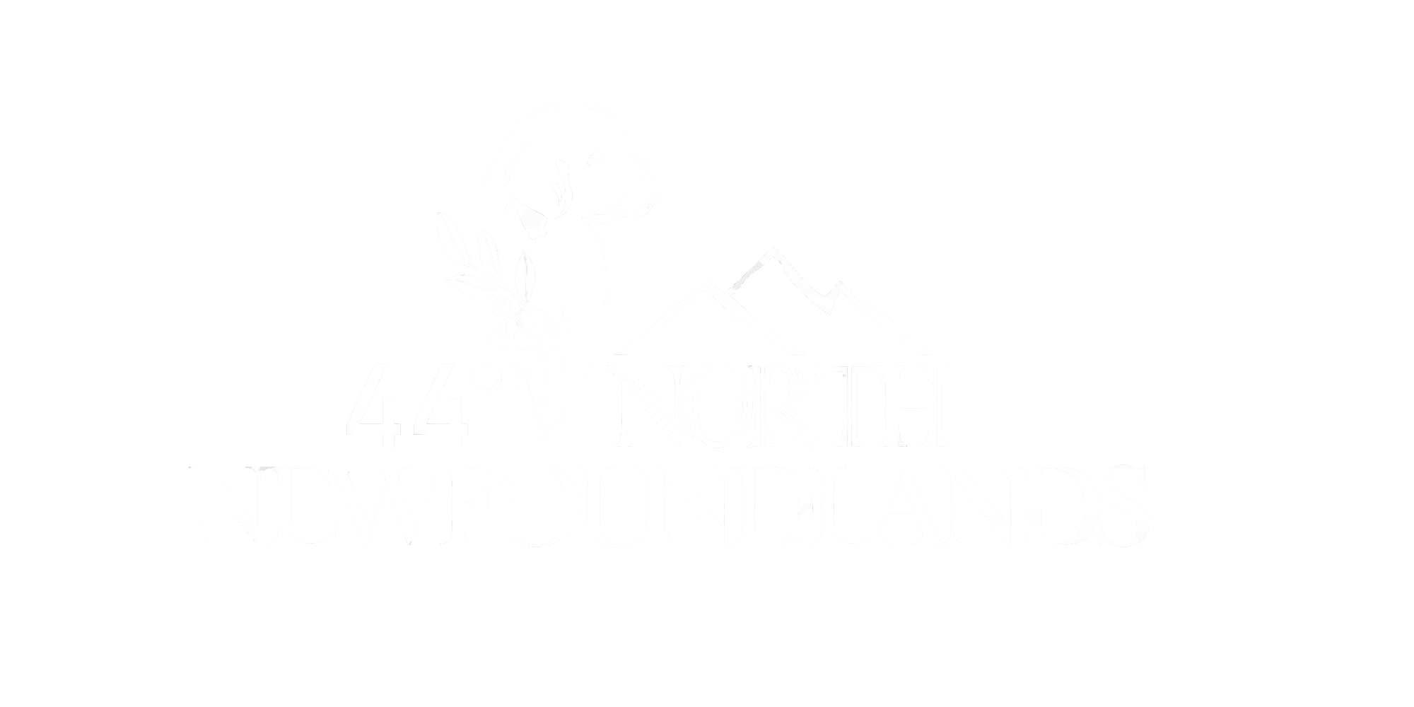 white 44 North logo